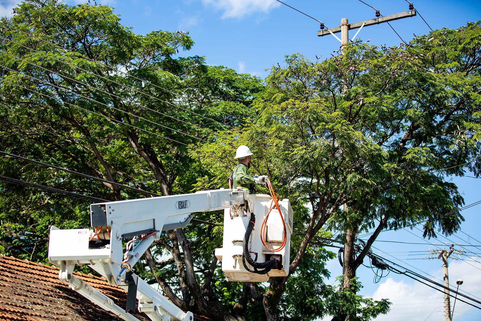 Jardim Botânico terá energia interrompida, neste sábado (3), para modernização da rede elétrica