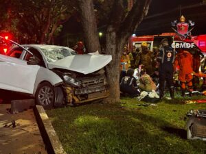 Colisão de carro contra árvore resulta em óbito