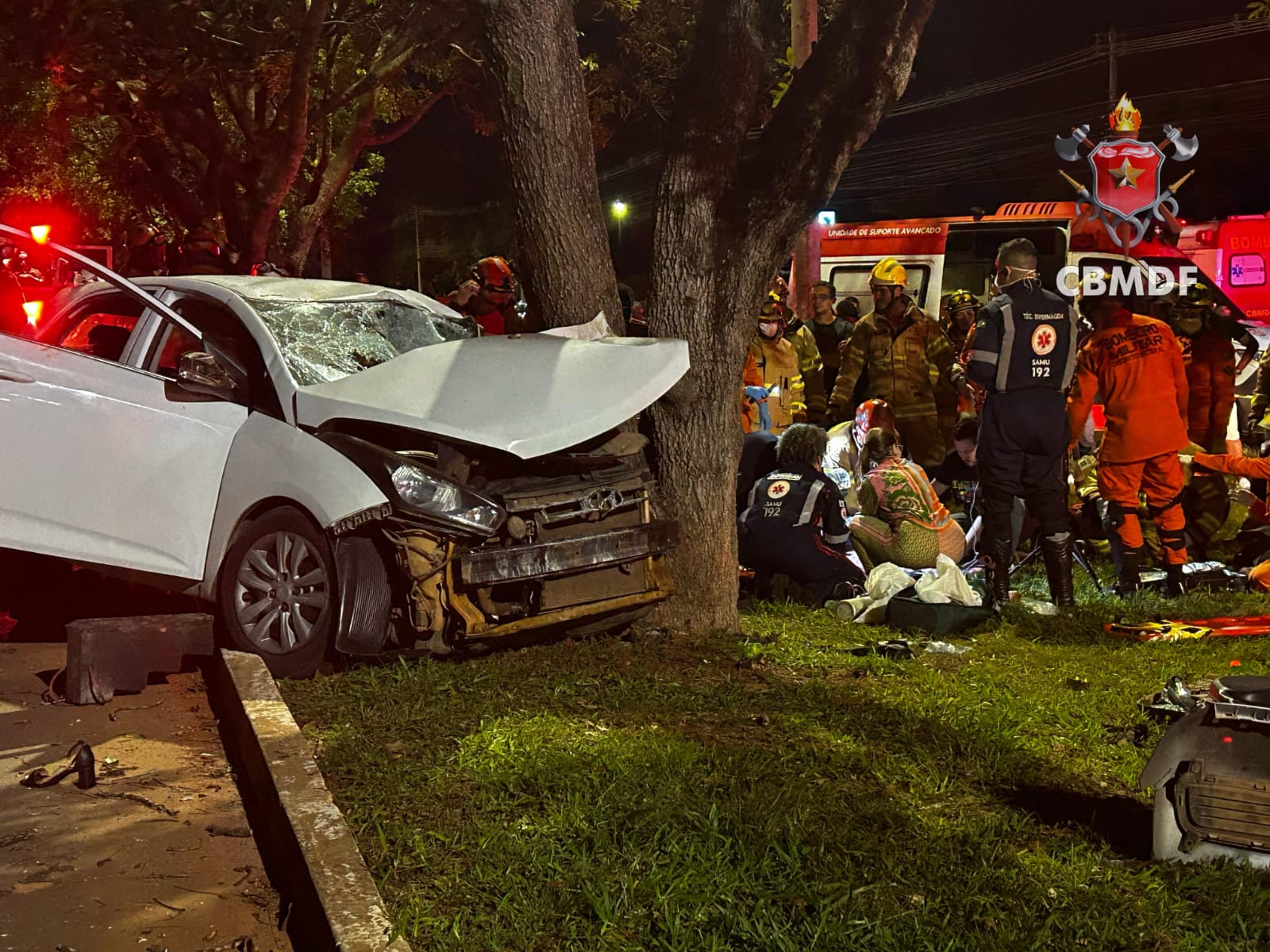 Colisão de carro contra árvore resulta em óbito