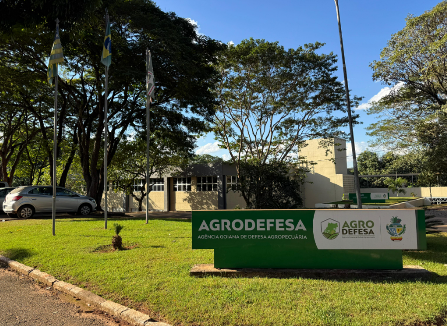 Agrodefesa confirma primeiro caso de gripe aviária em aves de subsistência em Goiás