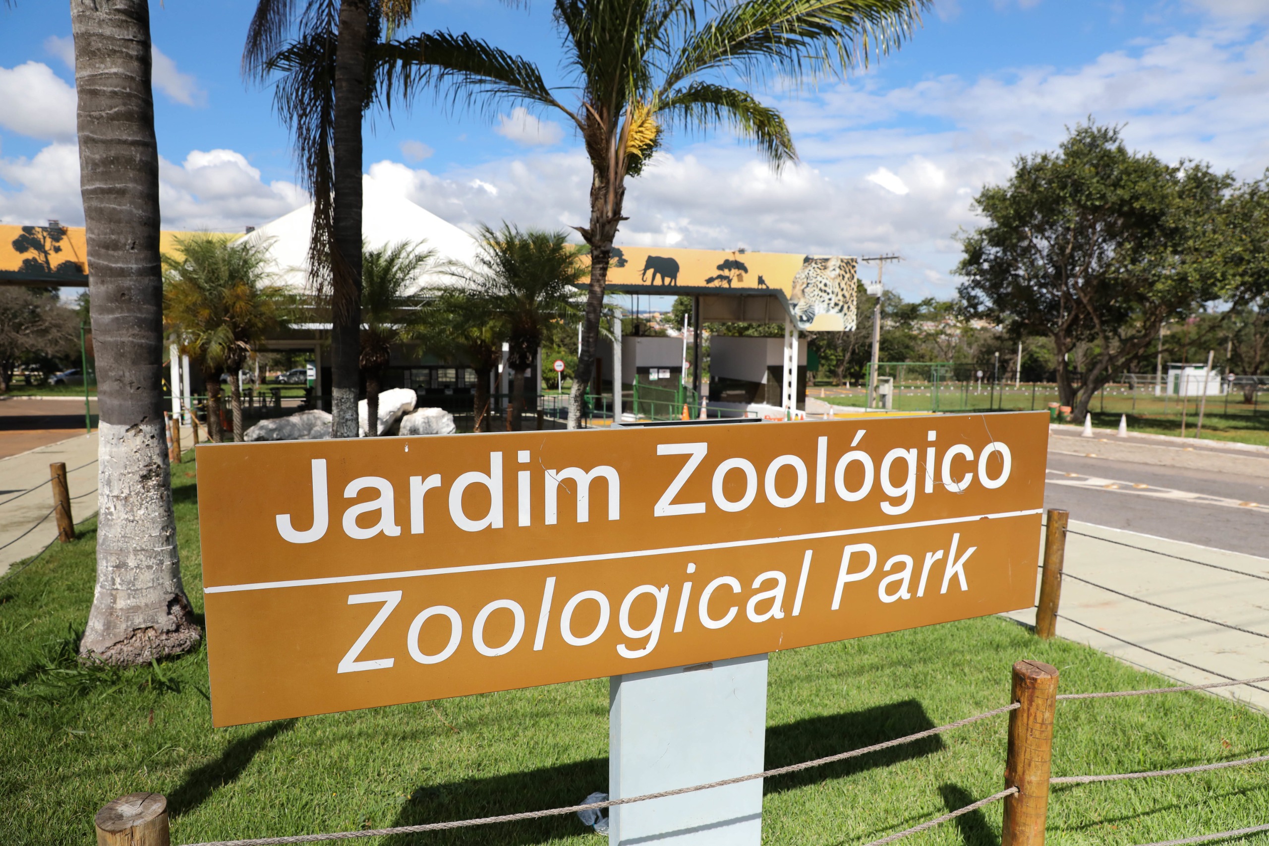 Zoológico de Brasília segue fechado após nova suspeita de influenza aviária