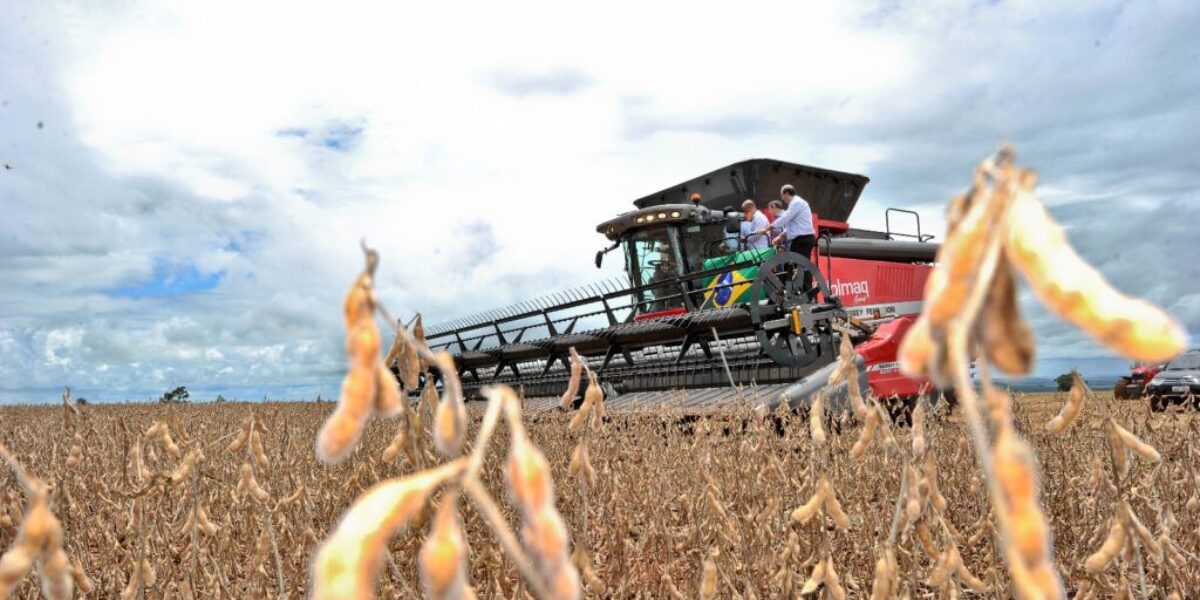 Goiás registra superávit de US$ 3,2 bilhões na balança comercial